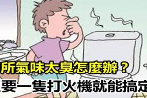 上完廁所之後氣味太臭？好難聞，怎麼辦？教你一招，一隻打火機就能搞定！六個生活小技能值得收藏！