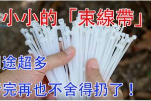 小小的「束線帶」，用途之多你一定想不到！看完再也不捨得扔了