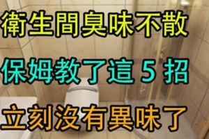 衛生間「臭味不散」，夏天更難聞！20年老保姆教了我這5招，立刻沒味了！超實用！