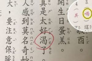 國小改錯字考題出了「這題」連媽媽都被考倒，得知答案後網友怒嗆：根本是考視力！