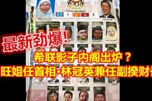 希聯影子內閣出爐？旺姐任首相·林冠英兼任副揆財長