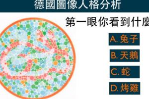 太准了！第一眼你看到什麼？對你的人格進行分析….