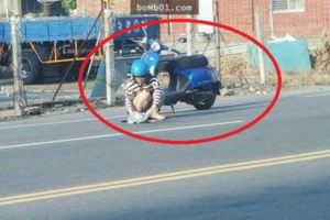 女騎士發現馬路上有一具動物屍體「不忍心沒人處理」，接著她做的事讓大家都眼眶泛淚謝謝她！