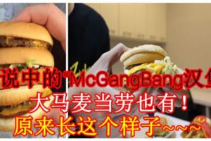 傳說中的「McGangBang漢堡」大馬麥當勞也有！原來長這個樣子~~~（內附視頻）