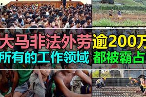 大馬非法外勞逾200萬，所有的工作領域都被霸佔了！