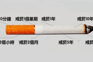 從你決定戒菸的那一刻開始「身體其實就有了變化」，看了這些結果終於秒懂戒菸的效果！