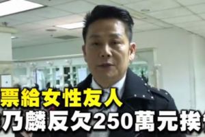 徐乃麟挨告了！　遭控欠250萬不還