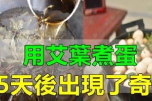 用艾葉煮蛋，對改善關節炎、腰酸背痛很有幫助！還能清理女性體內惡寒！（用過的都說好）