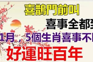 喜鵲門前叫，喜事全都到！11月，5生肖喜事一波接一波，好運旺百年！