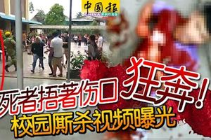 「黑幫華小廝殺案」死者捂著傷口狂奔！現場雞飛狗跳亂逃！校園廝殺視頻曝光