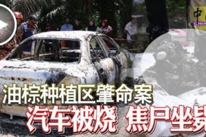 油棕種植區肇命案汽車被燒焦屍坐斃