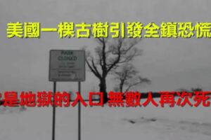 美國一棵古樹引發全鎮恐慌，「它是地獄的入口，無數人再次死亡…」