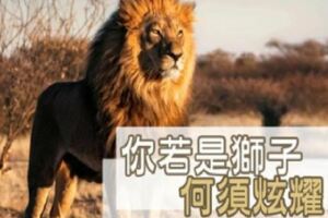 你若是獅子，何須「炫耀」？過度炫耀，其實是一種「自卑」心態！