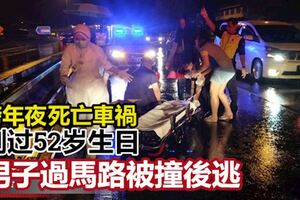 過馬路被撞後逃跨年夜死亡車禍