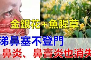 金銀花和魚腥草，每天來一些，緩解疼痛，趕跑鼻炎，鼻涕、鼻塞也和你說拜拜！