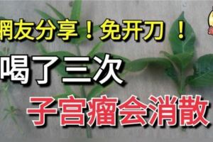 網友分享小秘方！喝了三次，子宮瘤會消散，免開刀！！