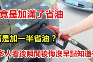 究竟是加滿了省油還是加一半省油？不是加半箱也不是加滿，車商給出了答案！