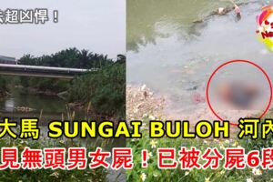 大馬SUNGAIBULOH河內驚見無頭男女屍！已經被分屍成6段！手法超兇悍！