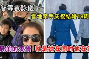 張智霖袁詠儀太甜了，雪地裡牽手慶祝結婚18周年