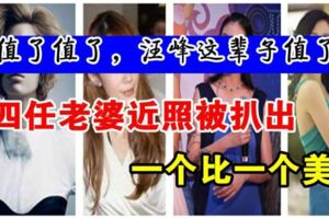 汪峰的前任到底有多漂亮，網友：「皮褲汪」人生贏家！