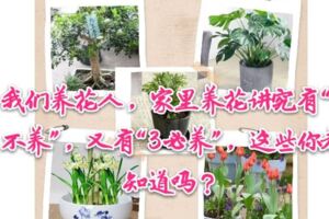 我們養花人，家裡養花講究有「2不養」，又有「3必養」，這些你都知道嗎？