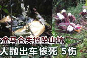 上金馬侖失控墜山坑1人拋出車慘死5傷