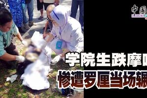 學院生跌摩哆慘遭羅釐當場輾斃