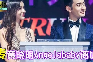 網友爆料！傳黃曉明Angelababy離婚，女方工作人員表示消息不屬實「太假了！」