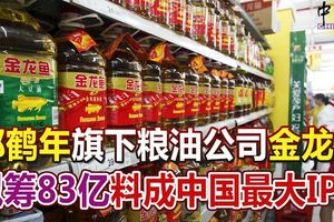 郭鶴年旗下糧油公司金龍魚擬籌83億料成中國最大IPO