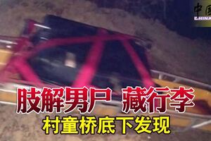 肢解男屍藏行李村童橋底下發現