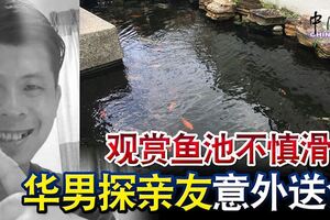 觀賞魚池不慎滑倒華男探親友意外送命