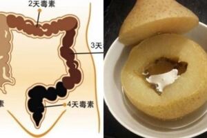 排便困難、糞便幹結，只需吃這三種食物，讓你的身體更通暢！