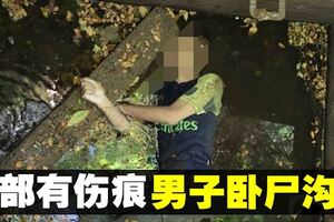 腹部有傷痕　溝渠驚現男屍