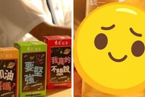 20年前「麥香奶茶」經典包裝曝光！　過來人淚喊：老了