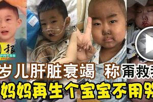 5歲兒肝髒衰竭稱「甭救我」「媽媽再生個寶寶不用哭」