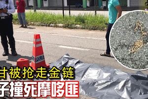 不甘被搶走金鏈印裔男子撞死摩哆匪