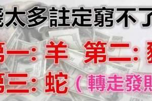 11月份錢太多註定窮不了的生肖