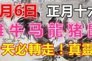 2月6日，正月十六（雞、牛、馬、龍、豬、鼠）今天必轉走