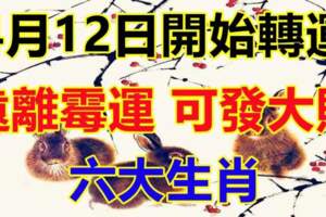 4月12日開始遠離霉運，可發大財的六大生肖