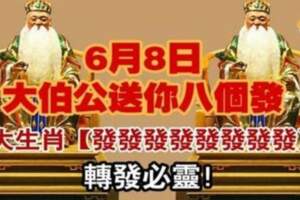 6月8日大伯公送你八個發，六大生肖發發發發發發發發