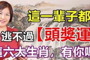 這一輩子都逃不過（頭獎運）的六大生肖