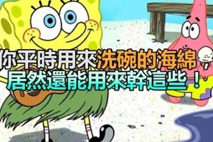 「生活黑客」:你平時用來洗碗的海綿，居然還能用來幹這些!超實用!