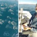 這個伯伯的無人機在海洋上空拍到「超珍貴一幕」，上萬只生物躍出水面讓他一生難忘！