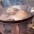 中國村民把「一隻活生生的狗狗丟進大鍋裡煮」，看熱鬧的人還可以哈哈大笑！