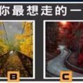 心理測試丨選一條路，測未來三個月你會有哪方面的意外好運？