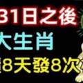 8月31號之後，八大生肖連續八天發八次橫財