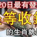 10月20日坐等收錢的生肖