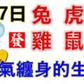 2月7日生肖運勢_兔、虎、羊大吉