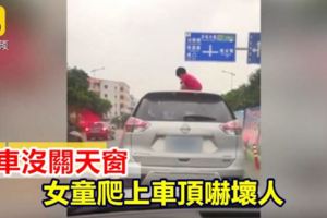 開車沒關天窗女童爬上車頂嚇壞人