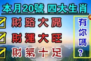 本月20號財路大開，財運大旺，財氣十足的生肖